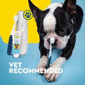 RADIUS Lush & Plush Dog & Cat Toothbrush