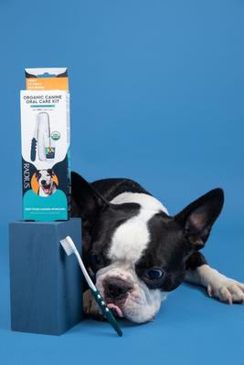 Show full view: RADIUS Organic Adult Dog Dental Solutions Kit  slide 10 of 11