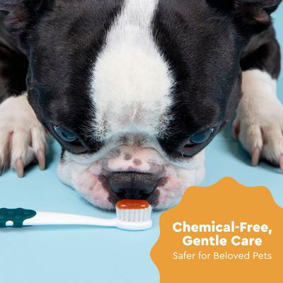 Show full view: RADIUS Organic Puppy Dog Dental Solutions Kit slide 7 of 10