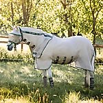 Best Fly Sheets for Horses