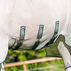 Rambo Flybuster Vamoose No Fly Zone Horse Fly Sheet, Oatmeal/Sage, 75-in slide 2 of 4