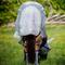 Show in main carousel: Rambo Protector Horse Fly Sheet, Silver/Navy, 81-in slide 3 of 5