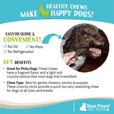 Show full view: Raw Paws 6-inch Beef Green Tripe Sticks Dehydrated Dog Treats, 10 count slide 6 of 8