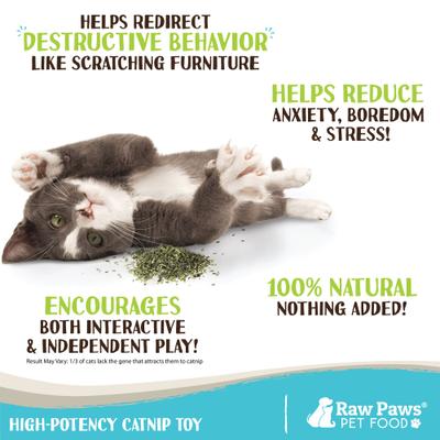 Show full view: Raw Paws All-Natural Loose Leaf Cut Catnip for Cats, 1-oz jar slide 4 of 8