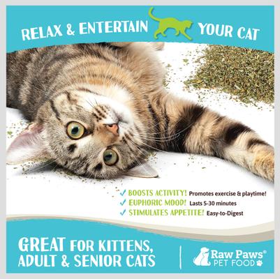 Show full view: Raw Paws All-Natural Loose Leaf Cut Catnip for Cats, 1-oz jar slide 5 of 8