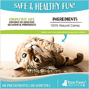 Raw Paws All-Natural Loose Leaf Cut Catnip for Cats, 1-oz jar