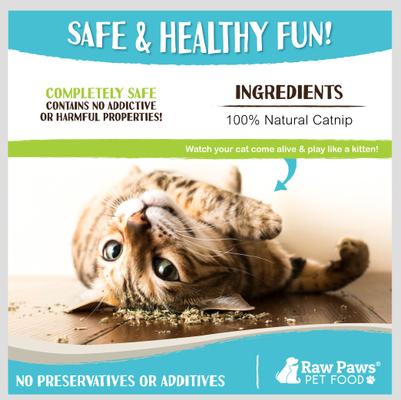 Show full view: Raw Paws All-Natural Loose Leaf Cut Catnip for Cats, 1-oz jar slide 6 of 8