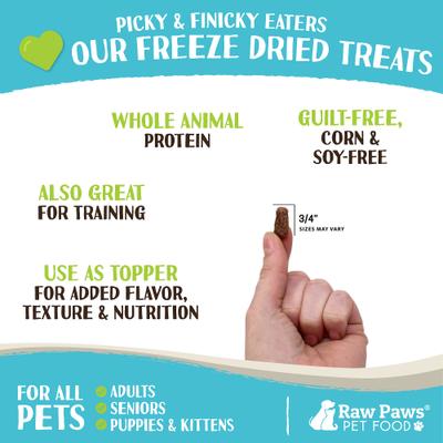 Show full view: Raw Paws Beef Freeze-Dried Raw Dog & Cat Treats, 4-oz bag slide 4 of 8