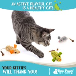 Raw Paws Catnip Filled Mouse Cat Toy with Silvervine, Gall Fruit, & Bell, 4 count slide 2 of 7