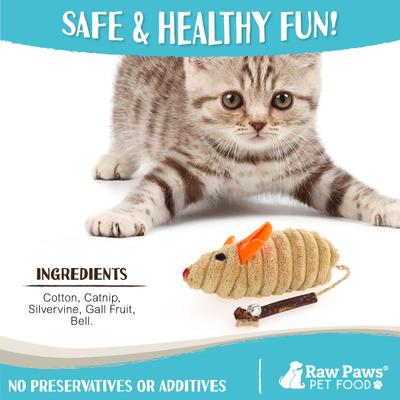 Show full view: Raw Paws Catnip Filled Mouse Cat Toy with Silvervine, Gall Fruit, & Bell, 4 count slide 5 of 8
