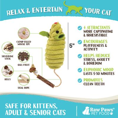 Show full view: Raw Paws Catnip Filled Mouse Cat Toy with Silvervine, Gall Fruit, & Bell, 4 count slide 4 of 8