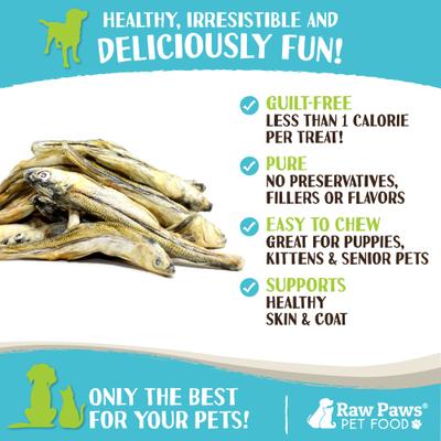 Show full view: Raw Paws Freeze-Dried Smelt Minnows Raw Dog & Cat Treats, 2-oz bag slide 5 of 8
