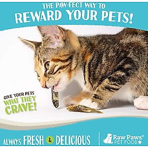Raw Paws Freeze-Dried Smelt Minnows Raw Dog & Cat Treats, 2-oz bag