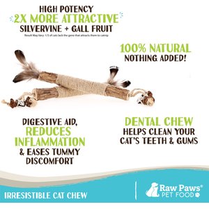Raw Paws Matatabi Silvervine Chew Stick with Feather, Gall Fruit, & Bell Cat Toy, 3 count