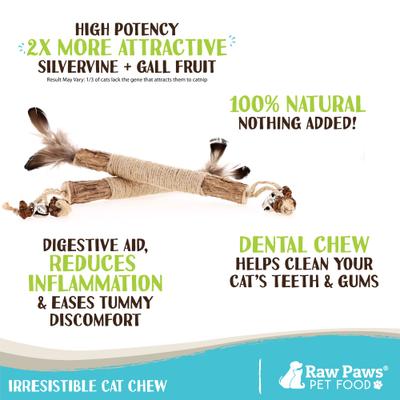 Show full view: Raw Paws Matatabi Silvervine Chew Stick with Feather, Gall Fruit, & Bell Cat Toy, 3 count slide 4 of 8