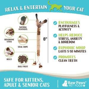 Raw Paws Matatabi Silvervine Chew Stick with Feather, Gall Fruit, & Bell Cat Toy, 3 count