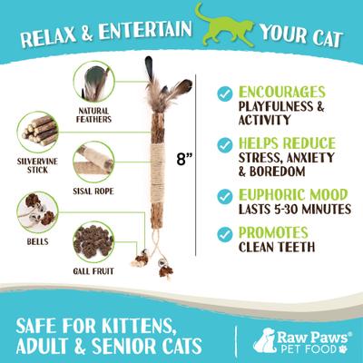 Show full view: Raw Paws Matatabi Silvervine Chew Stick with Feather, Gall Fruit, & Bell Cat Toy, 3 count slide 5 of 8