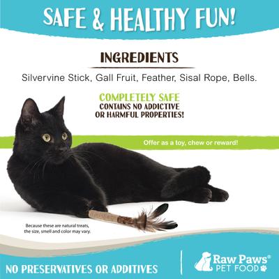 Show full view: Raw Paws Matatabi Silvervine Chew Stick with Feather, Gall Fruit, & Bell Cat Toy, 3 count slide 6 of 8