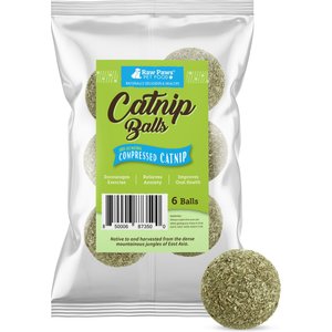 Raw Paws Natural Catnip Interactive Cat Ball Toy, 6 count
