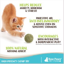 Raw Paws Natural Catnip Interactive Cat Ball Toy, 6 count slide 2 of 6