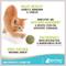 Show in main carousel: Raw Paws Natural Catnip Interactive Cat Ball Toy, 6 count slide 3 of 8