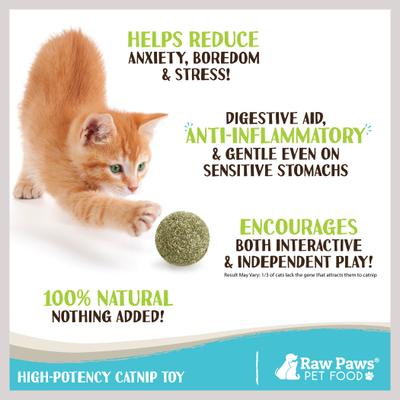 Show full view: Raw Paws Natural Catnip Interactive Cat Ball Toy, 6 count slide 3 of 8