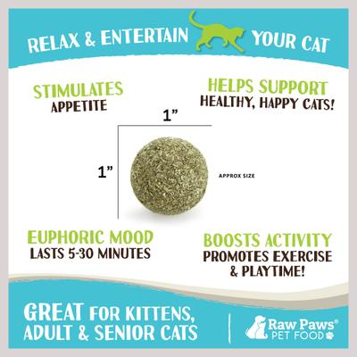 Show full view: Raw Paws Natural Catnip Interactive Cat Ball Toy, 6 count slide 4 of 8