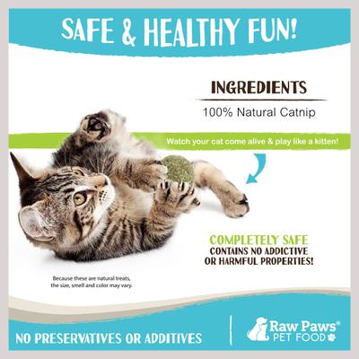 Show full view: Raw Paws Natural Catnip Interactive Cat Ball Toy, 6 count slide 5 of 8