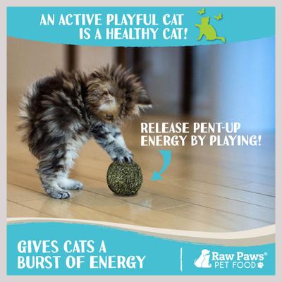 Show full view: Raw Paws Natural Catnip Interactive Cat Ball Toy, 6 count slide 6 of 8