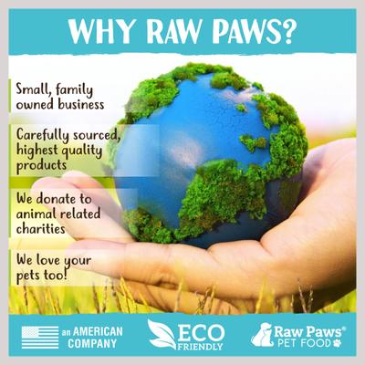 Show full view: Raw Paws Natural Catnip Interactive Cat Ball Toy, 6 count slide 7 of 8