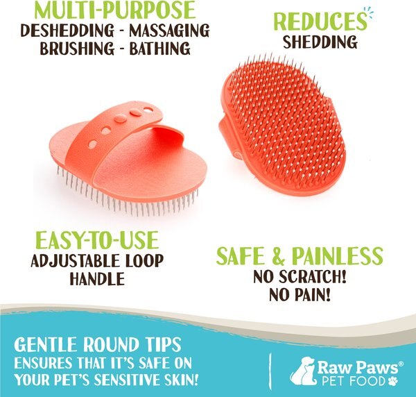 Raw Paws No-Handle Pin Brush Dog & Cat Brush