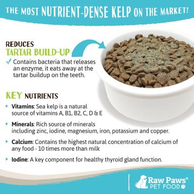 Show full view: Raw Paws Organic Sea Kelp Powder Supplement Food Topper for Dogs & Cats, 8-oz bag slide 6 of 8