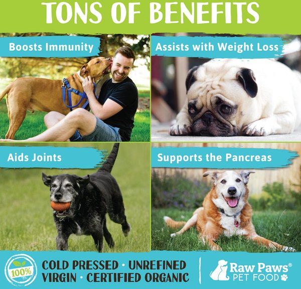 View of RAW PAWS Organic Virgin Coconut Oil for Dogs & Cats, Skin & Coat ...