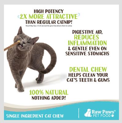 Show full view: Raw Paws Silvervine Sticks Cat Chew Toy, 30 count slide 3 of 8