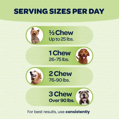 Show full view: Ready Pet Go Good Gut Probiotic Dog Supplement, 90 Count slide 6 of 10