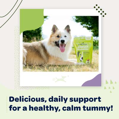 Show full view: Ready Pet Go Good Gut Probiotic Dog Supplement, 90 Count slide 8 of 10