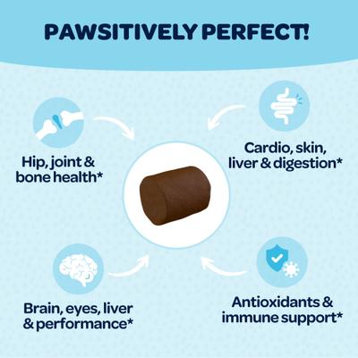 Show full view: Ready Pet Go Healthy 12-in-One Dog Supplement, 90 Count slide 7 of 11