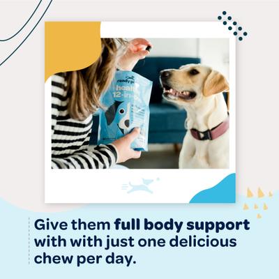 Show full view: Ready Pet Go Healthy 12-in-One Dog Supplement, 90 Count slide 8 of 11