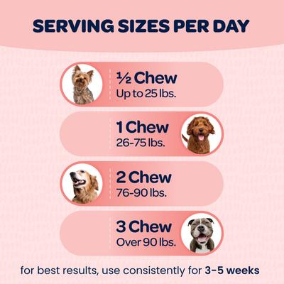 Show full view: Ready Pet Go Joint & Hip Dog Supplement, 90 Count slide 6 of 11