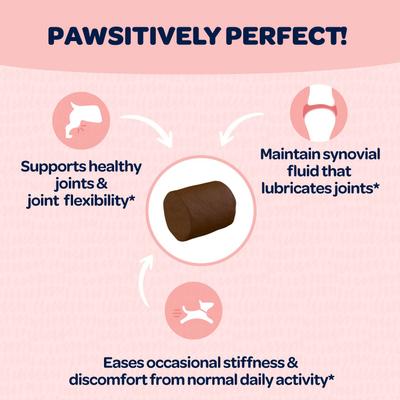 Show full view: Ready Pet Go Joint & Hip Dog Supplement, 90 Count slide 7 of 11