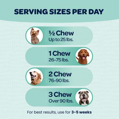 Show full view: Ready Pet Go Seasonal Allergy Dog Supplement, 90 Count slide 6 of 11