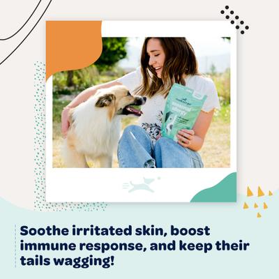 Show full view: Ready Pet Go Seasonal Allergy Dog Supplement, 90 Count slide 8 of 11