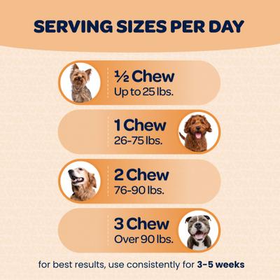 Show full view: Ready Pet Go Skin & Coat Omega-3 Dog Supplement, 90 Count slide 5 of 10