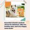 Show in main carousel: Ready Pet Go Skin & Coat Omega-3 Dog Supplement, 90 Count slide 7 of 10