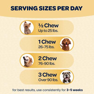 Show full view: Ready Pet Go Turmeric & Collagen Dog Supplement, 90 Count slide 6 of 10