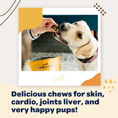 Show full view: Ready Pet Go Turmeric & Collagen Dog Supplement, 90 Count slide 8 of 10