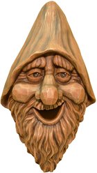 Red Carpet Studios Harry Face Bird House