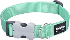 Red Dingo Bucklebone Classic Pastel Nylon Dog Collar, Green, Large: 16.5 to 25-in neck, 1-in wide