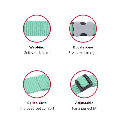 Show full view: Red Dingo Bucklebone Classic Pastel Nylon Dog Collar, Green, Medium: 12.5 to 18.5-in neck, 4/5-in wide slide 3 of 8