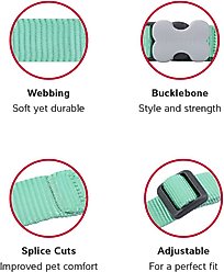Red Dingo Bucklebone Classic Pastel Nylon Dog Collar, Green, Small: 9.5 to 14-in neck, 5/8-in wide slide 2 of 7